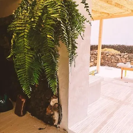 Estudio Con Bano Privado Apartment *