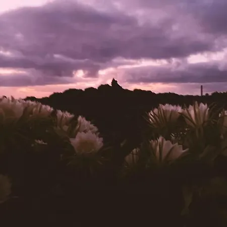 Estudio Con Bano Privado Lägenhet *