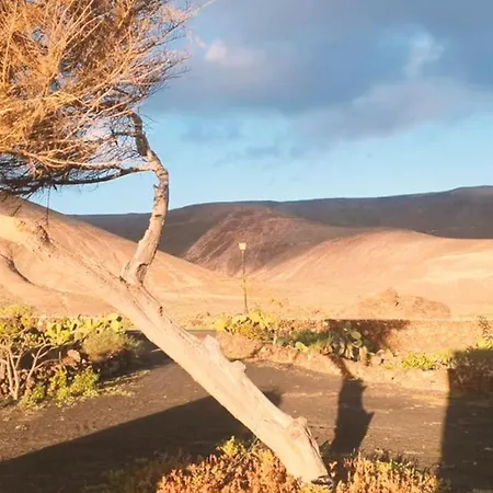 Estudio Con Bano Privado