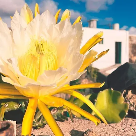 Estudio Con Bano Privado