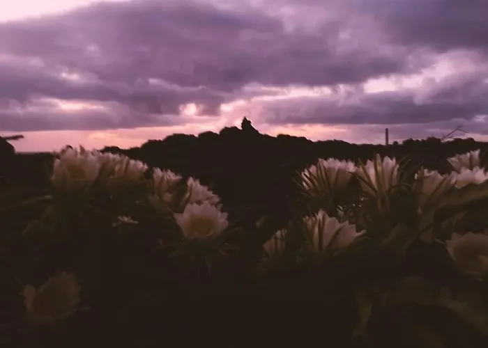 Estudio Con Bano Privado Apartment *