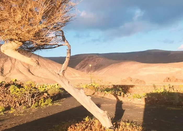 Estudio Con Bano Privado