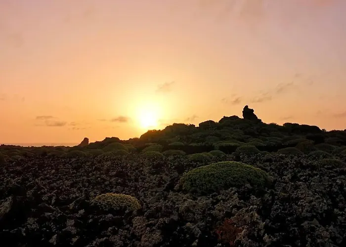 Estudio Con Bano Privado Apartment *