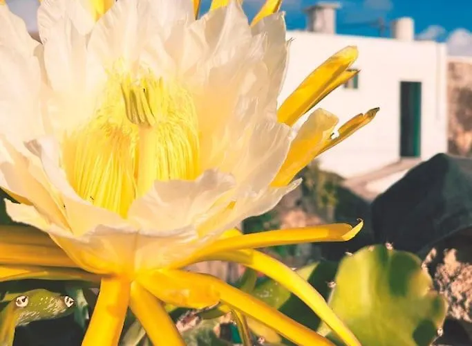 Estudio Con Bano Privado