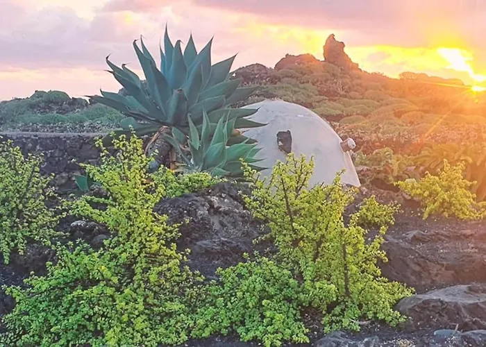 Lägenhet Estudio Con Bano Privado